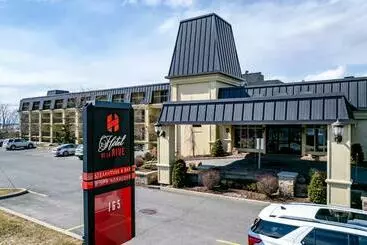 Bed and Breakfast De La Rive