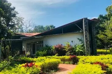 The Tamarai Yelagiri