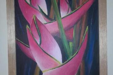 Pensão Hostal Heliconias