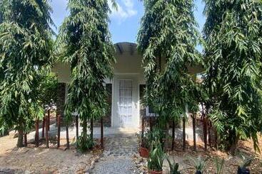 Dharma Casa Holistica, Hostal, Yoga Y Retiros