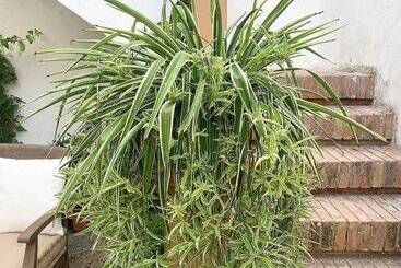 住宿加早餐  Patios Del Agua