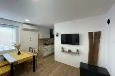 آپارتمان‌های توریست‌ها Apartments And Rooms Pri Bašlju