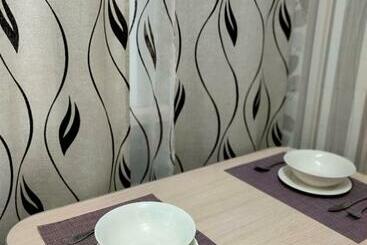 관광객 아파트 стандарт апартаменты ул.урицкого 74