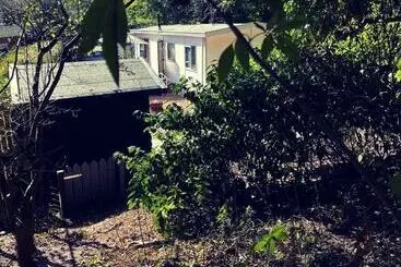 ツーリストアパートメント Heerlijk Bos Chalet Met Ongekende Rust En Vrijheid