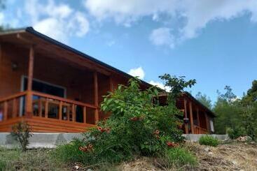 Turistlejligheder Olympos Terrace Garden