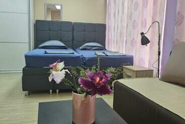 Apartamentos turísticos Leni Apartman U Centru Zajecara