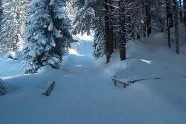 Отель Panoramahuetten Sonderdach