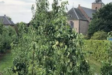 Turistihuoneistot Gastenverblijf Op De Prins Hendrik Hoeve In Buren