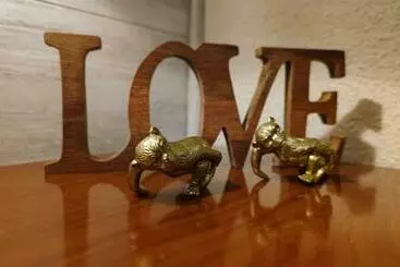 Turistihuoneistot Alojamiento Mirabuenos