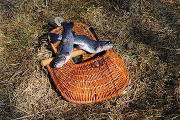 בית מלון כפרי Auberge Des Moulins