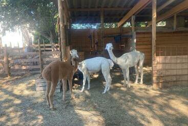 شقق خاصة سياحية Gite Sitio Nathalie Et Jos