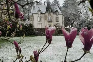 Bed and Breakfast Chateau Maleplane
