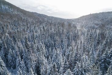 Жильё для туристов Les Petits Chalets