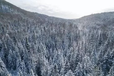 Turistihuoneistot Les Petits Chalets
