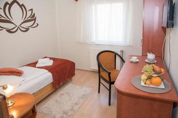 בית מלון כפרי Astoria Panzió