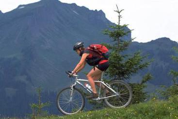 Bed and Breakfast Moosbrugger Marlene U. Walter - Haus Marlene Pension