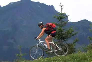 Bed and Breakfast Moosbrugger Marlene U. Walter - Haus Marlene Pension