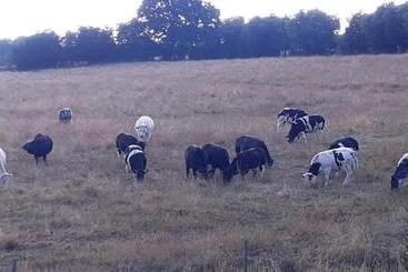 Bed and Breakfast Les Chambres De La Fontaine De Brul