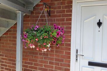 游客公寓 Charming 2 Bed Apartment Located In Elham Norwich