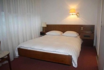 Hotel Hôtel De La Poste Martigny   City Center