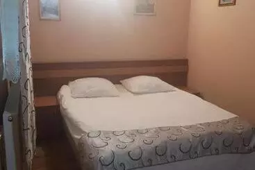 Pension Vila Sura Razoare