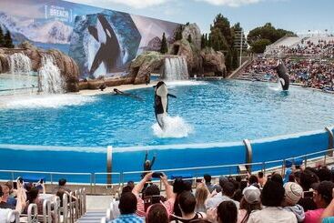 Pier South Resort, Autograph Collection