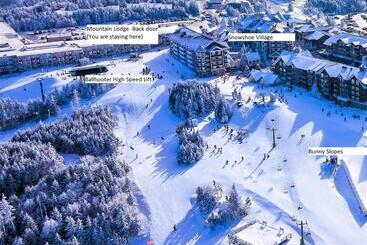 Appartement-hotel Stroll To Slopes, Village Area, Ski In Out Mtlodge 210