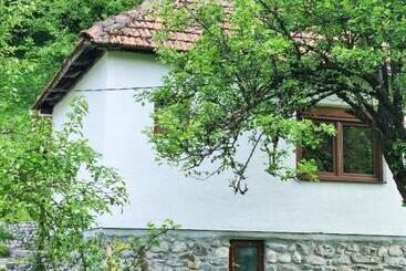 Apartamenty turystyczne Farmstead Green Haven