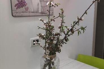 צימר Cavaliere Costa