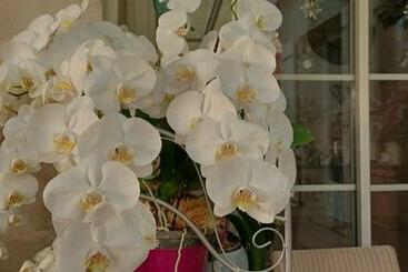 ベッドアンドブレックファースト Les Orchidees Chambre Hôtes Futuroscope Chasseneuil Poitiers