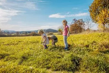 Majatalo Penzion Sněžná Volary