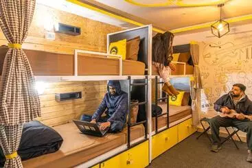 Lushtree Backpackers   Hostel & Cafe