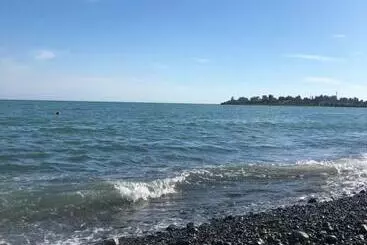 Pensión данат