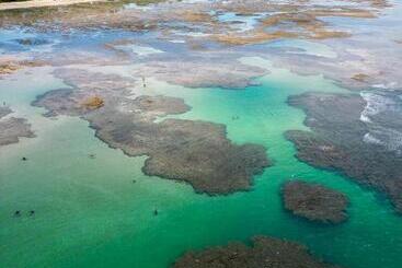 هاستل Pousada Dona Moça