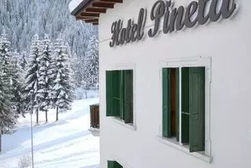 בית מלון כפרי Pineta