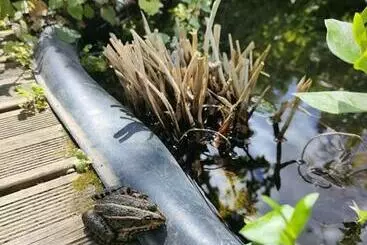 Turistihuoneistot La Maison Bleue De Husseau Ancienne Ferme Semi Troglodytique 18e Siècle