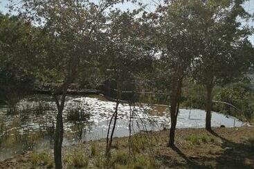 관광객 아파트 Luxury Room   Sielevreugde