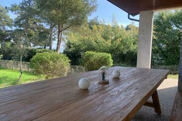 ツーリストアパートメント Villa 30metres Bassin L’herbe Cap Ferret