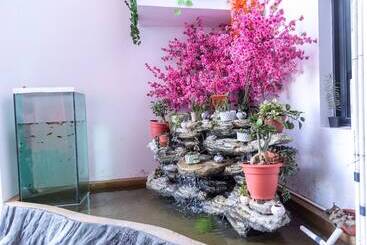 هتل Pauraque Soho