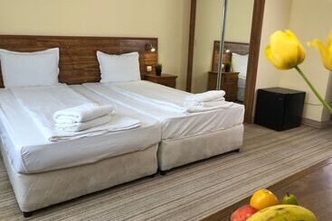 Otel Chateau Vaptzarov