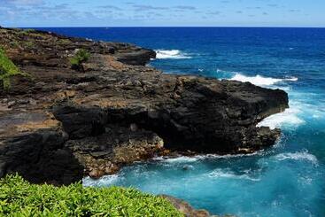 בית מלון כפרי Makahuena 4105 Poipu Ocean Breeze