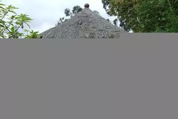 هاستل Mount Kilimanjaro View Lodge