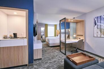 Отель Springhill Suites By Marriott Detroit Dearborn