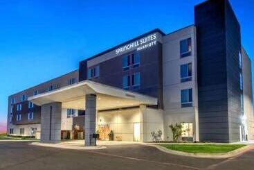 Hotel Springhill Suites By Marriott Detroit Dearborn