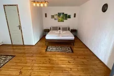 ペンション Taverna Sasului