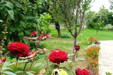 Majatalo Meti Guest House