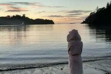 펜션 Marina Vista Cabin