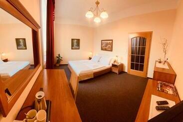 Hotel Penzion černý Kůň