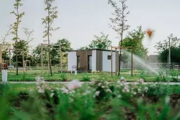 Bed and Breakfast Gyopár Lodge   Gyopárosfürdő