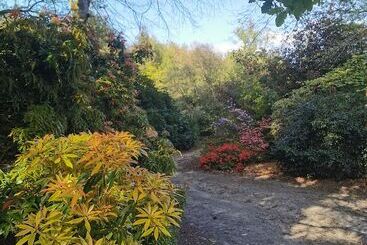 بنسيون Le Domaine Du Château De Launay Guen